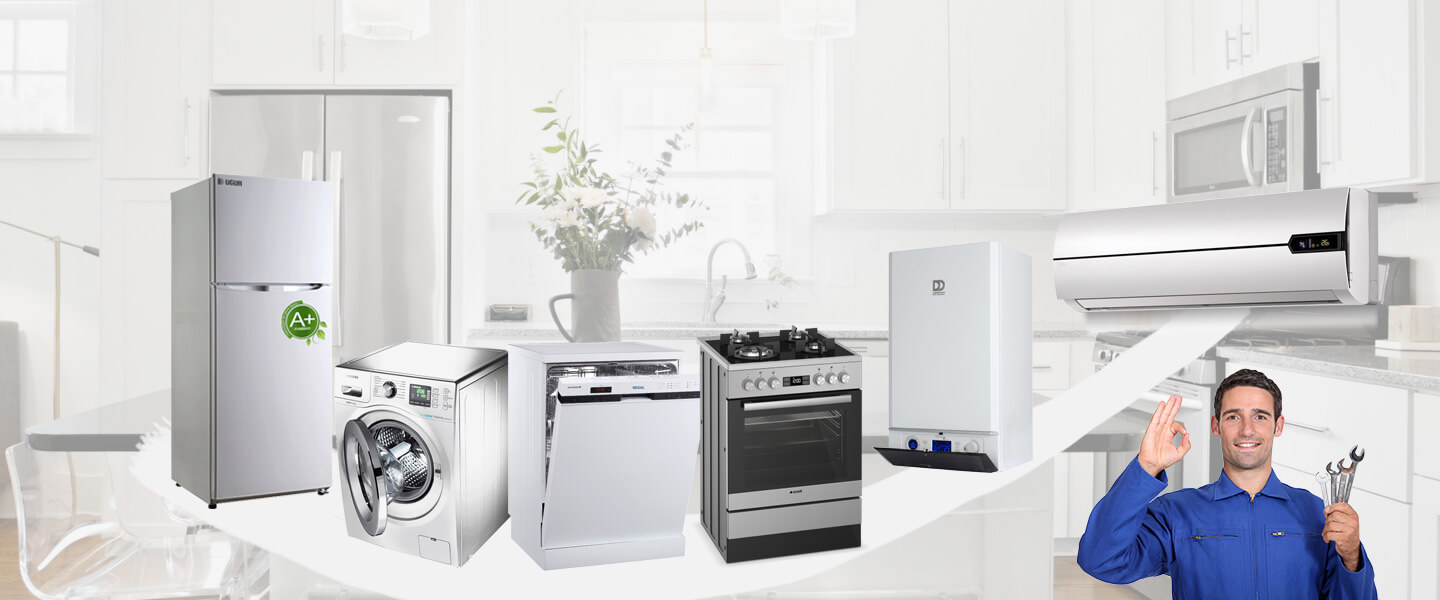Ceyhan Grundig Servisi
